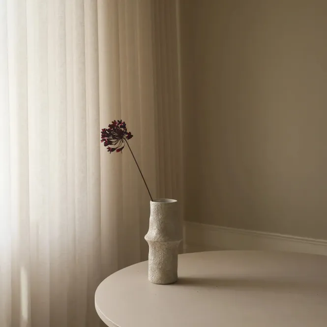 Hovedbilde Botané Studio Mørk Rød Agapantus Blomst