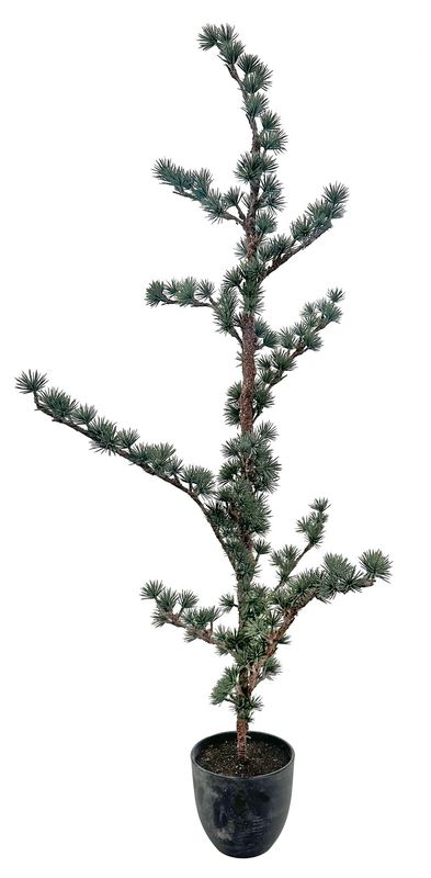 Lerketre i potte 120 cm