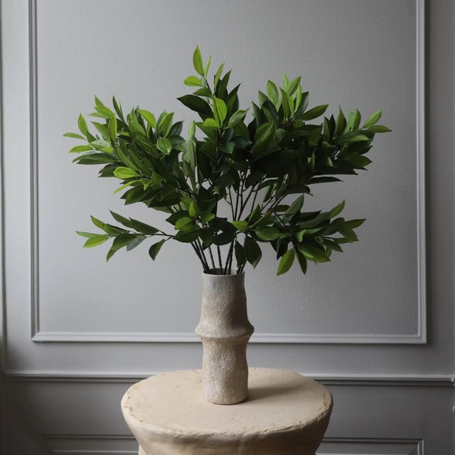 Hovedbilde Botané Studios Green Ruscus Leaves
