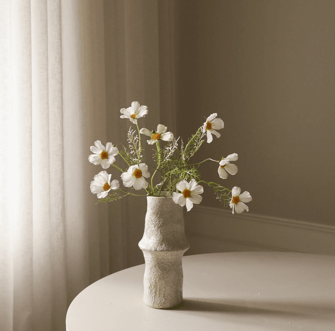Hovedbilde Botané Studio Cosmo Daisy blomst - hvit 