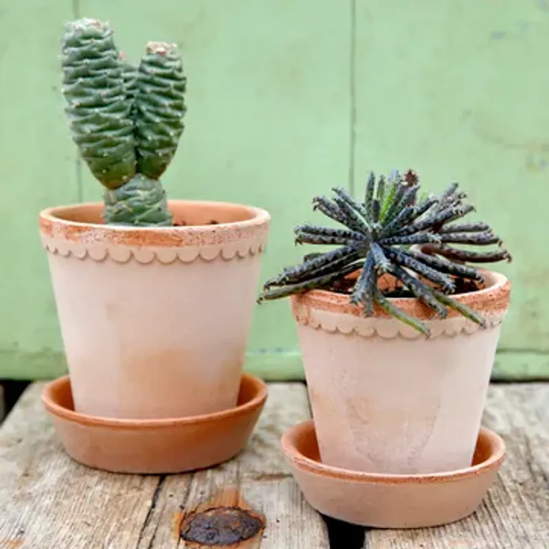 Bergs Potter Helena med fat Ø14cm Rosa
