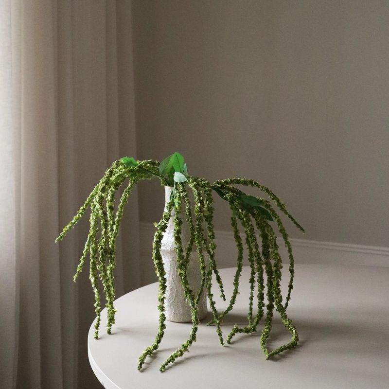 Botané Studios Amaranthus grønn