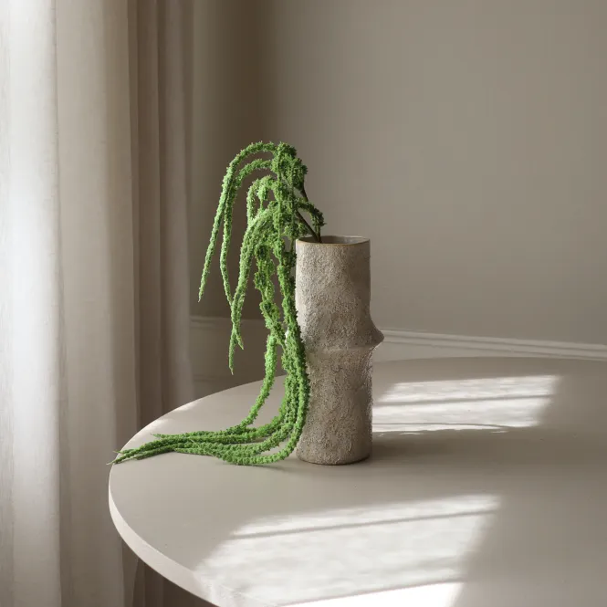 Hovedbilde Botané Studios Light green Amaranthus Caudatus ...