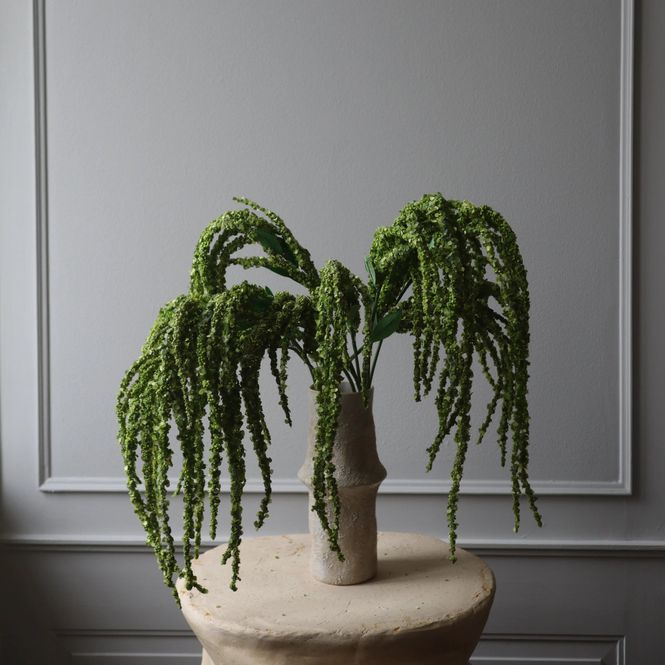 Hovedbilde Botané Studios Amaranthus grønn